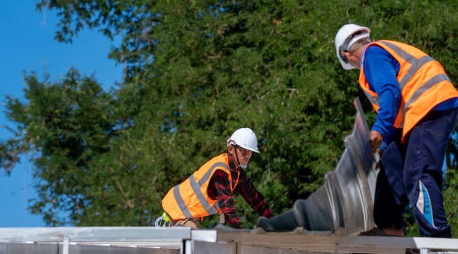 Professional gutter cleaning in Ellendale, DE